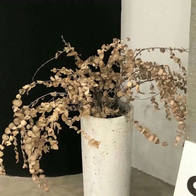 兽设Q版设计教程福瑞交流群